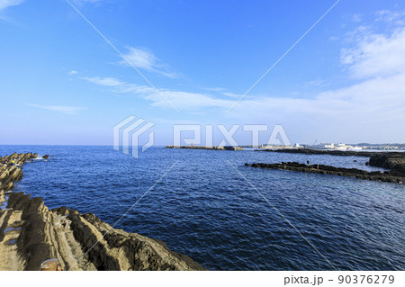 神奈川県の最南端の三浦半島の城ヶ島の春　 90376279