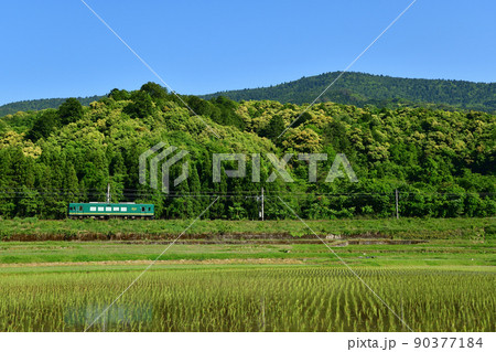 京都丹後鉄道の列車と田植え後の水田 90377184