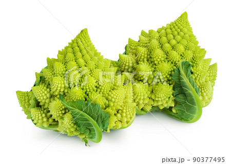 Romanesco broccoli cabbage or Roman Cauliflower isolated on white background with full depth of field Romanesco broccoli cabbage or Roman Cauliflower isolated on white background with full depth of field 90377495