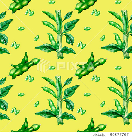 Plant green beans, haricot watercolor seamless pattern Plant green beans, haricot watercolor seamless pattern 90377767