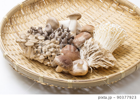 食用きのこ　きのこ色々　盛合せキノコ　イメージ素材 90377923