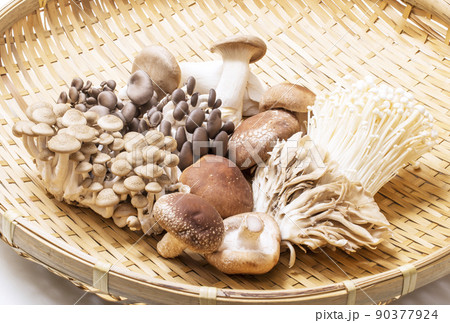 食用きのこ　きのこ色々　盛合せキノコ　イメージ素材 90377924