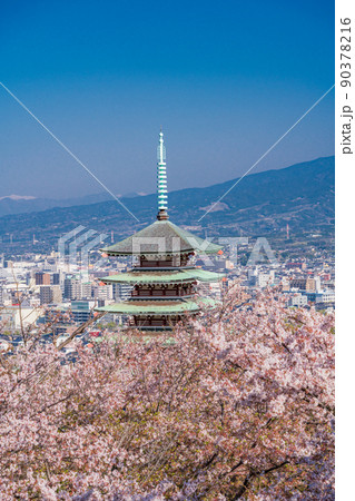 (静岡県)桜満開の香貫山、慰霊平和塔と富士山 (静岡県)桜満開の香貫山、慰霊平和塔と富士山 90378216