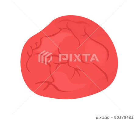 梅干し 梅干し 90378432