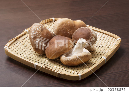 椎茸 原木椎茸 原木しいたけ 生シイタケ 自然栽培 生椎茸 椎茸 原木椎茸 原木しいたけ 生シイタケ 自然栽培 生椎茸 90378875