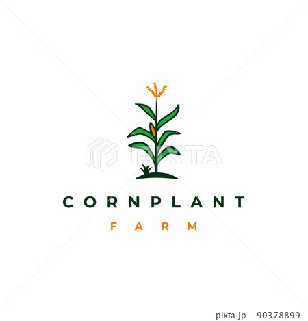 Corn stalk, corn tree, corn plant logo design Corn stalk, corn tree, corn plant logo design 90378899