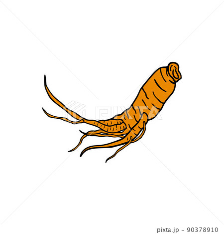 Ginseng root logo. Herbal logo design 90378910