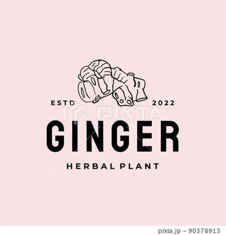 Ginger root logo. Herbal spice logo design 90378913