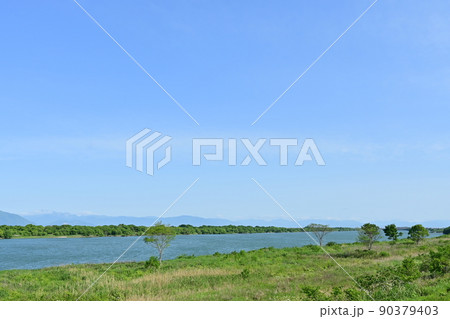 下流域の水の流れと植生(木曽川) 下流域の水の流れと植生(木曽川) 90379403