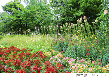 なばなの里 満開の初夏の花々 なばなの里 満開の初夏の花々 90379525
