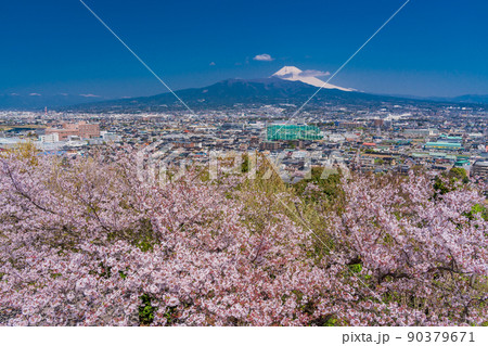 （静岡県）桜咲く本城山公園から望む、県東部の街並と富士山 90379671