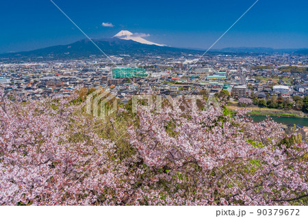（静岡県）桜咲く本城山公園から望む、県東部の街並と富士山 90379672