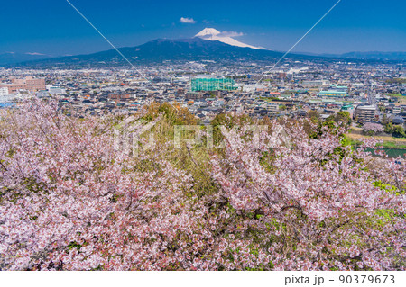 （静岡県）桜咲く本城山公園から望む、県東部の街並と富士山 90379673