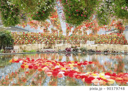 なばなの里　ベゴニアガーデン 90379748