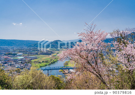 (静岡県)桜咲く本城山公園から望む、県東部の街並み (静岡県)桜咲く本城山公園から望む、県東部の街並み 90379816