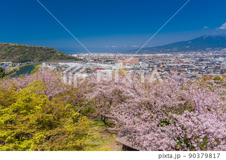 （静岡県）桜咲く本城山公園から望む、県東部の街並み 90379817
