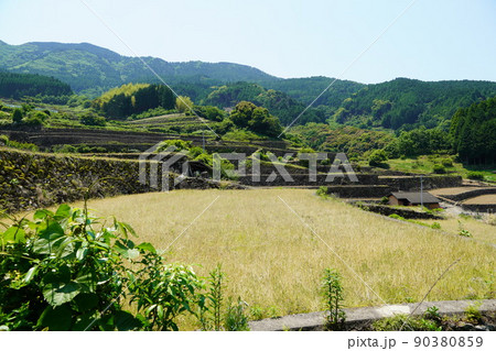 蕨野の棚田(南川原の棚田・佐賀県) 蕨野の棚田(南川原の棚田・佐賀県) 90380859