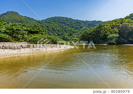 River waters flowing down between hills and the forest to end up on the beach River waters flowing down between hills and the forest to end up on the beach 90380979
