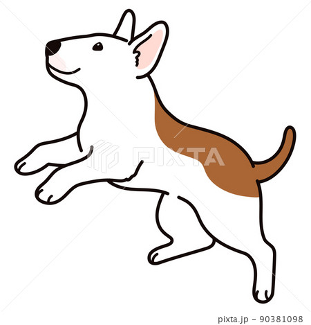 ジャンプするシンプルで可愛いブルテリアのイラスト　主線あり 90381098