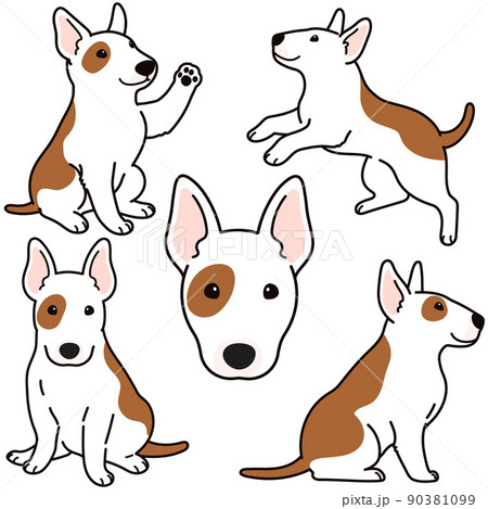 シンプルで可愛いブルテリアのイラストセット 主線あり シンプルで可愛いブルテリアのイラストセット 主線あり 90381099