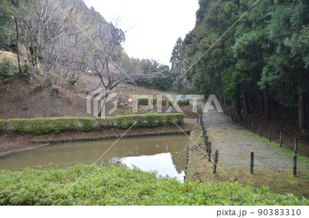 田尻の池（山中城跡公園／静岡県三島市山中新田） 90383310