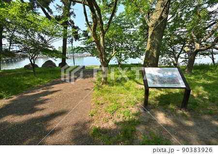 膳所城跡公園 近江「膳所城」の石垣と琵琶湖 膳所城跡公園 近江「膳所城」の石垣と琵琶湖 90383926
