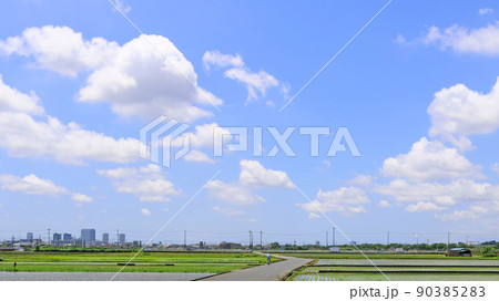 広い青空の下に続く田植え後の田んぼとその先に見えるビル群 90385283