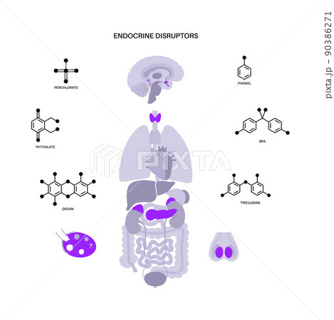 Endocrine disruptors poster Endocrine disruptors poster 90386271
