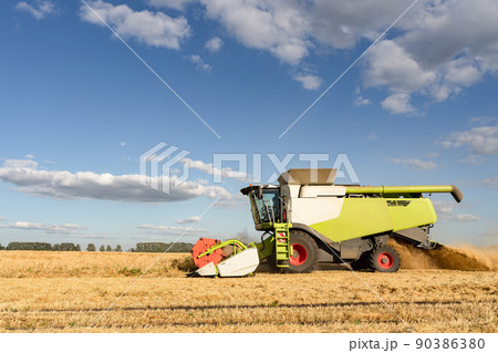 Combine harvester harvest rice wheat on a farm. Image of agriculture. 90386380