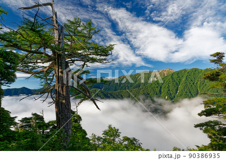 北アルプス・合戦尾根から見る雲海と大天井岳稜線 90386935