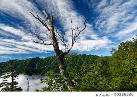 北アルプス・合戦尾根から見る大天井岳稜線と槍ヶ岳 90386936