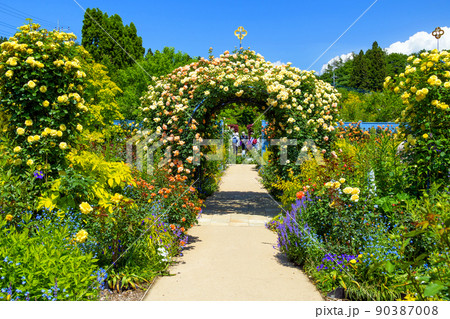 ローズアーチ ローズアーチ 90387008