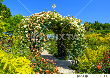 青空と薔薇色アーチ 90387011