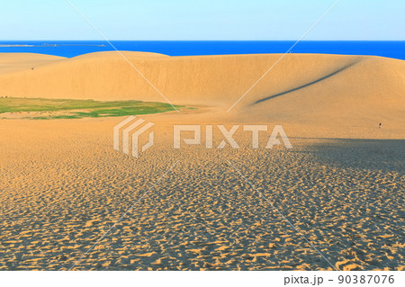 【鳥取県】晴天の鳥取砂丘 90387076