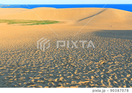 【鳥取県】晴天の鳥取砂丘 【鳥取県】晴天の鳥取砂丘 90387078