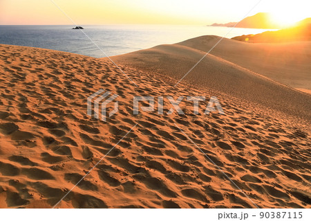 【鳥取県】朝焼けの鳥取砂丘 90387115