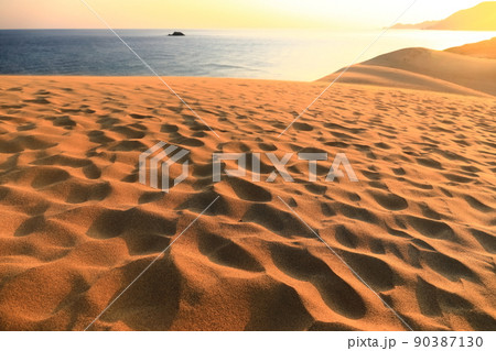 【鳥取県】朝焼けの鳥取砂丘 90387130