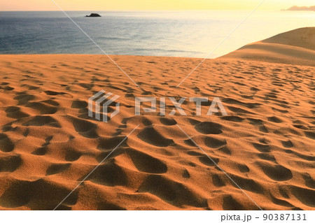 【鳥取県】朝焼けの鳥取砂丘 【鳥取県】朝焼けの鳥取砂丘 90387131