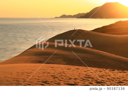 【鳥取県】朝焼けの鳥取砂丘 【鳥取県】朝焼けの鳥取砂丘 90387136