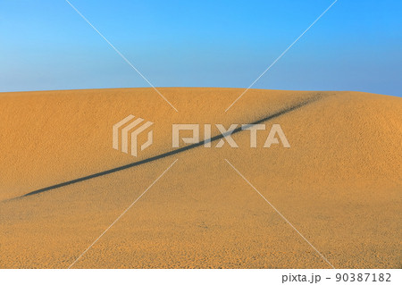 【鳥取県】晴天の鳥取砂丘 【鳥取県】晴天の鳥取砂丘 90387182