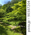 新緑輝く森の公園 90387204