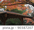 秋もみじ積もる東屋の屋根 90387207