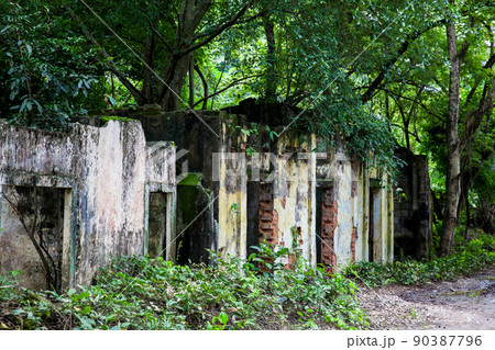 Remains of the destroyed houses of the Armero Town covered by trees and nature after 37 years of the tragedy caused by the Nevado del Ruiz Volcano in 1985 Remains of the destroyed houses of the Armero Town covered by trees and nature after 37 years of the tragedy caused by the Nevado del Ruiz Volcano in 1985 90387796