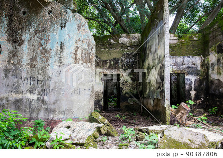 Remains of the destroyed houses of the Armero Town covered by trees and nature after 37 years of the tragedy caused by the Nevado del Ruiz Volcano in 1985 Remains of the destroyed houses of the Armero Town covered by trees and nature after 37 years of the tragedy caused by the Nevado del Ruiz Volcano in 1985 90387806