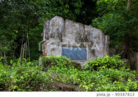 Remains of the destroyed houses of the Armero Town covered by trees and nature after 37 years of the tragedy caused by the Nevado del Ruiz Volcano in 1985 Remains of the destroyed houses of the Armero Town covered by trees and nature after 37 years of the tragedy caused by the Nevado del Ruiz Volcano in 1985 90387813