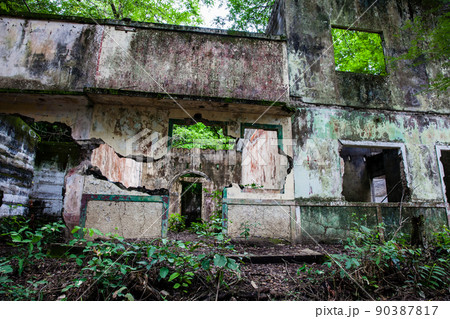 Remains of the destroyed houses of the Armero Town covered by trees and nature after 37 years of the tragedy caused by the Nevado del Ruiz Volcano in 1985 Remains of the destroyed houses of the Armero Town covered by trees and nature after 37 years of the tragedy caused by the Nevado del Ruiz Volcano in 1985 90387817