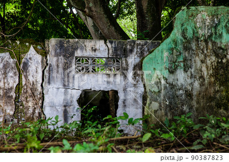 Remains of the destroyed houses of the Armero Town covered by trees and nature after 37 years of the tragedy caused by the Nevado del Ruiz Volcano in 1985 90387823