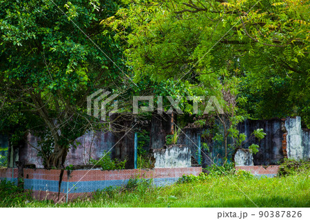 Remains of the destroyed houses of the Armero Town covered by trees and nature after 37 years of the tragedy caused by the Nevado del Ruiz Volcano in 1985 Remains of the destroyed houses of the Armero Town covered by trees and nature after 37 years of the tragedy caused by the Nevado del Ruiz Volcano in 1985 90387826