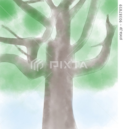 大きな木　太い幹　枝　イラスト 90387859