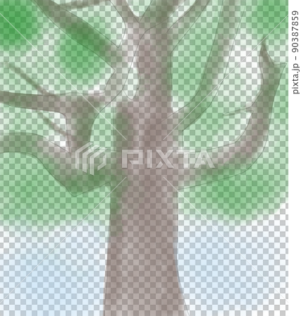 大きな木　太い幹　枝　イラスト 90387859